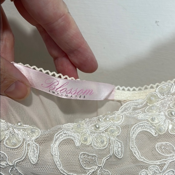 Vintage Cream Peachy Lace Beaded Slip dress nightgown with Sheer Finish - Picture 2 of 6